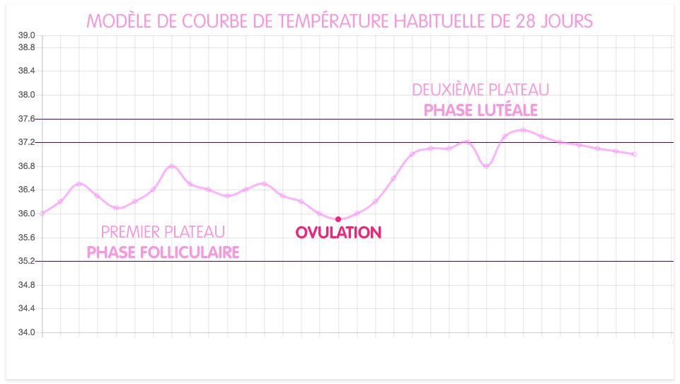 Courbe de température - Premier plateau Phase folliculaire - ovulation - Deuxième plateau Phase lutéale