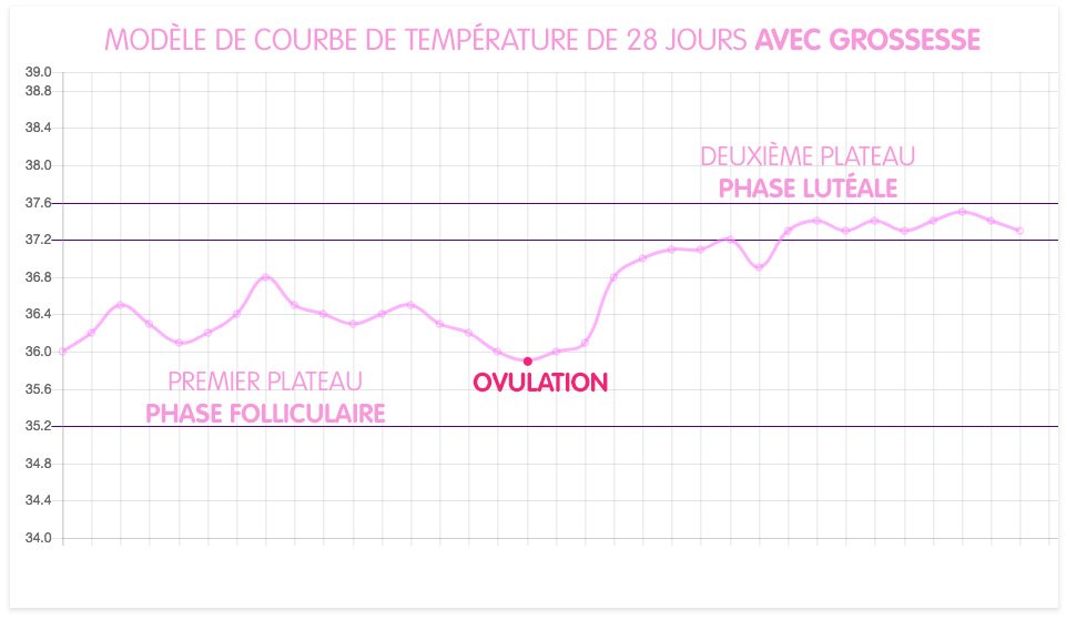 Courbe de température - Grossesse - Premier plateau Phase folliculaire - ovulation - Deuxième plateau Phase lutéale